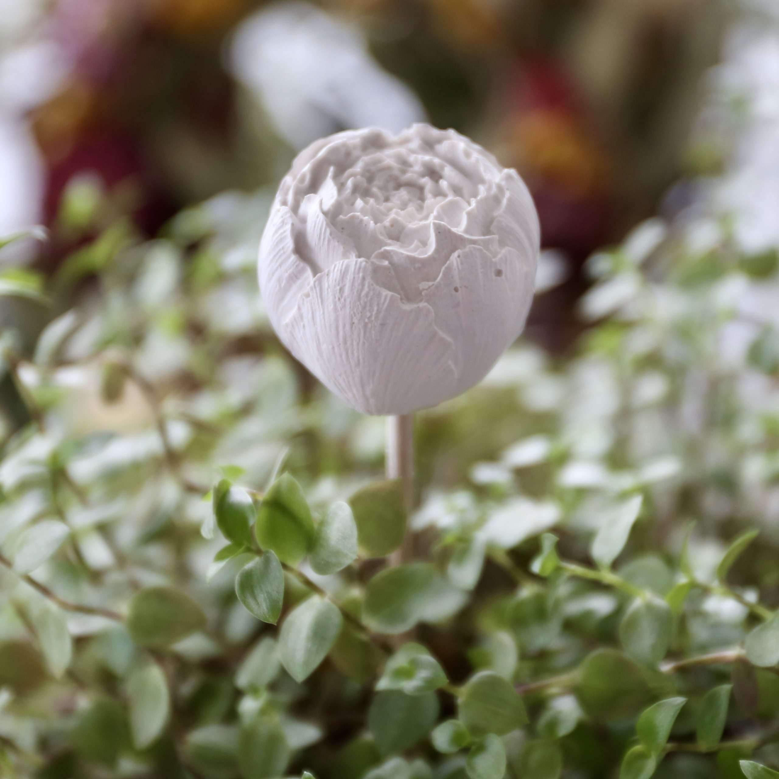 *Silikon - Gießform - Blüte - Ranunkel* – Bild 8