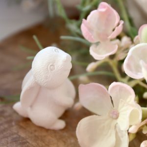 Silikon - Gießform - Kleiner Schnupperhasen - Mini