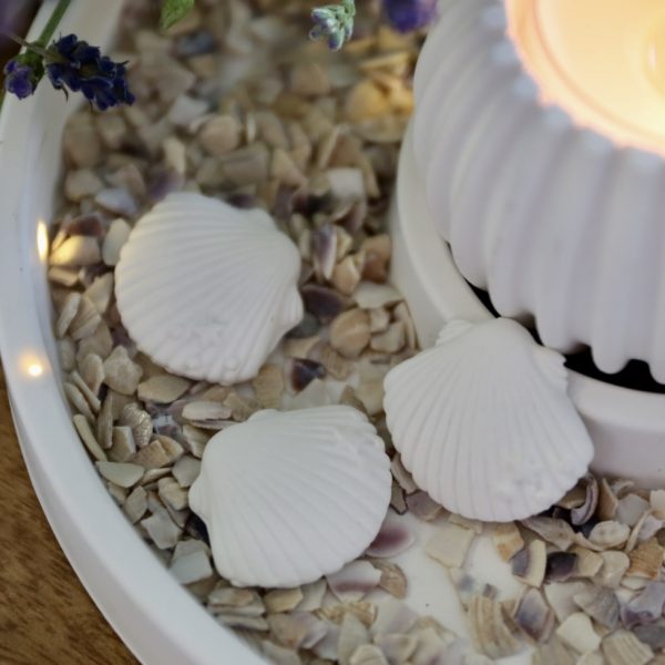 Silikon - Gießform - Mini Muscheln und Seestern - Maritim - wähle aus 4 Varianten – Bild 8