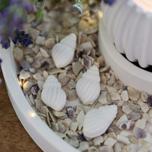 Silikon - Gießform - Mini Muscheln und Seestern - Maritim - wähle aus 4 Varianten – Bild 13