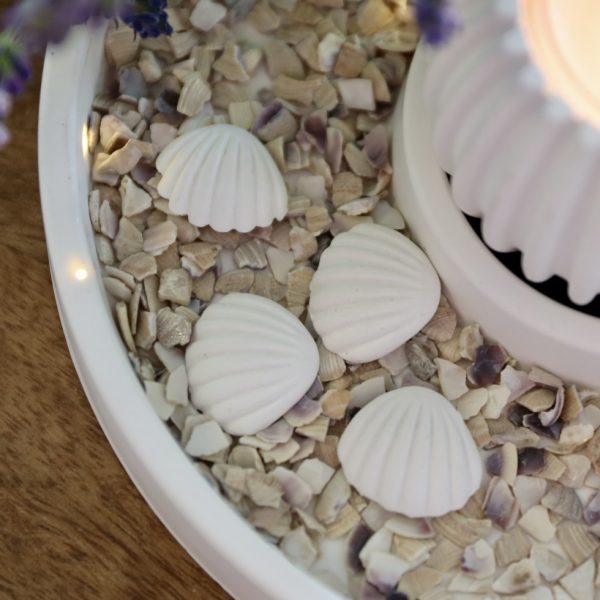Silikon - Gießform - Mini Muscheln und Seestern - Maritim - wähle aus 4 Varianten – Bild 18
