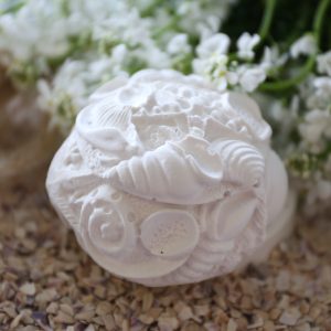 Silikon - Gießform - Muscheldose - Dose mit Deckel - Maritim