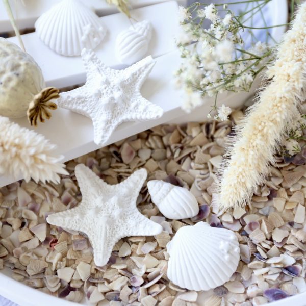 Silikon - Gießform - Mini Muscheln und Seestern - Maritim - wähle aus 4 Varianten – Bild 33