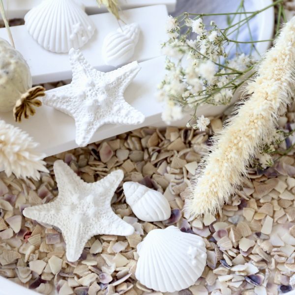 Silikon - Gießform - Mini Muscheln und Seestern - Maritim - wähle aus 4 Varianten – Bild 34