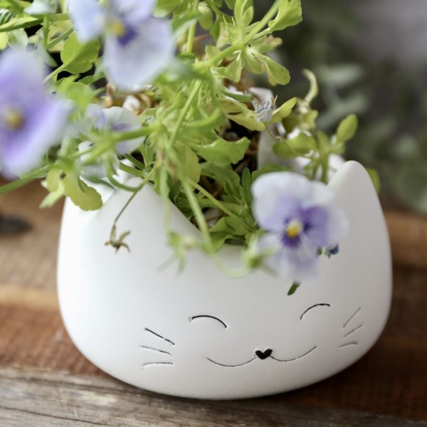 Silikon - Gießform - Dekoschale - Fröhliches Kätzchen - Teelichthalter - Katze – Bild 14