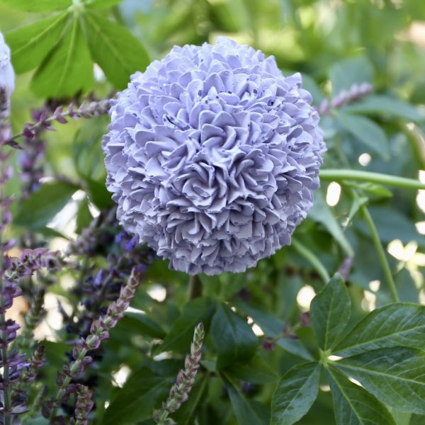 Silikon - Gießform - Kleine Blumenkugel - Allium – Bild 13