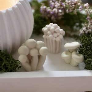 Silikon - Gießform - Kleine Wildpilze - Herbst - Multiform