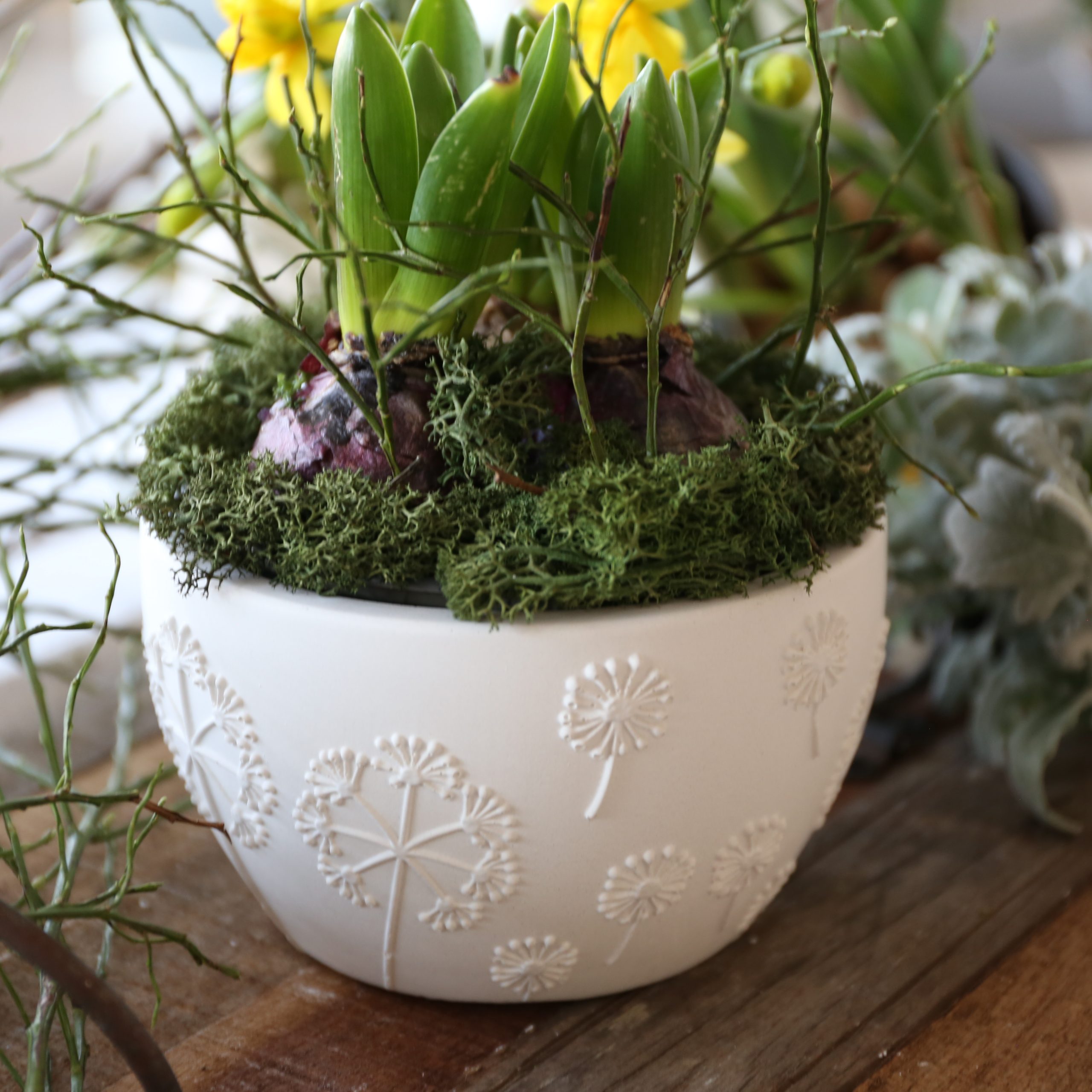 Silikon - Gießform - Dekoschale - Frühlingsdesigns - wähle aus 5 Motiven – Bild 40