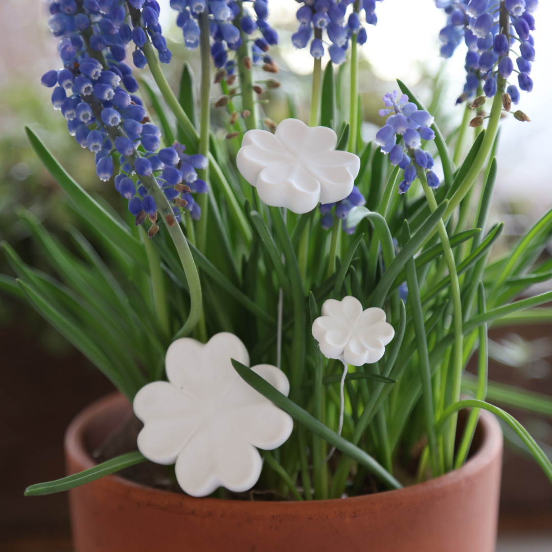 Silikon - Gießform - Mini - Vierblättrige Kleeblätter - Glückbringer - Multiform