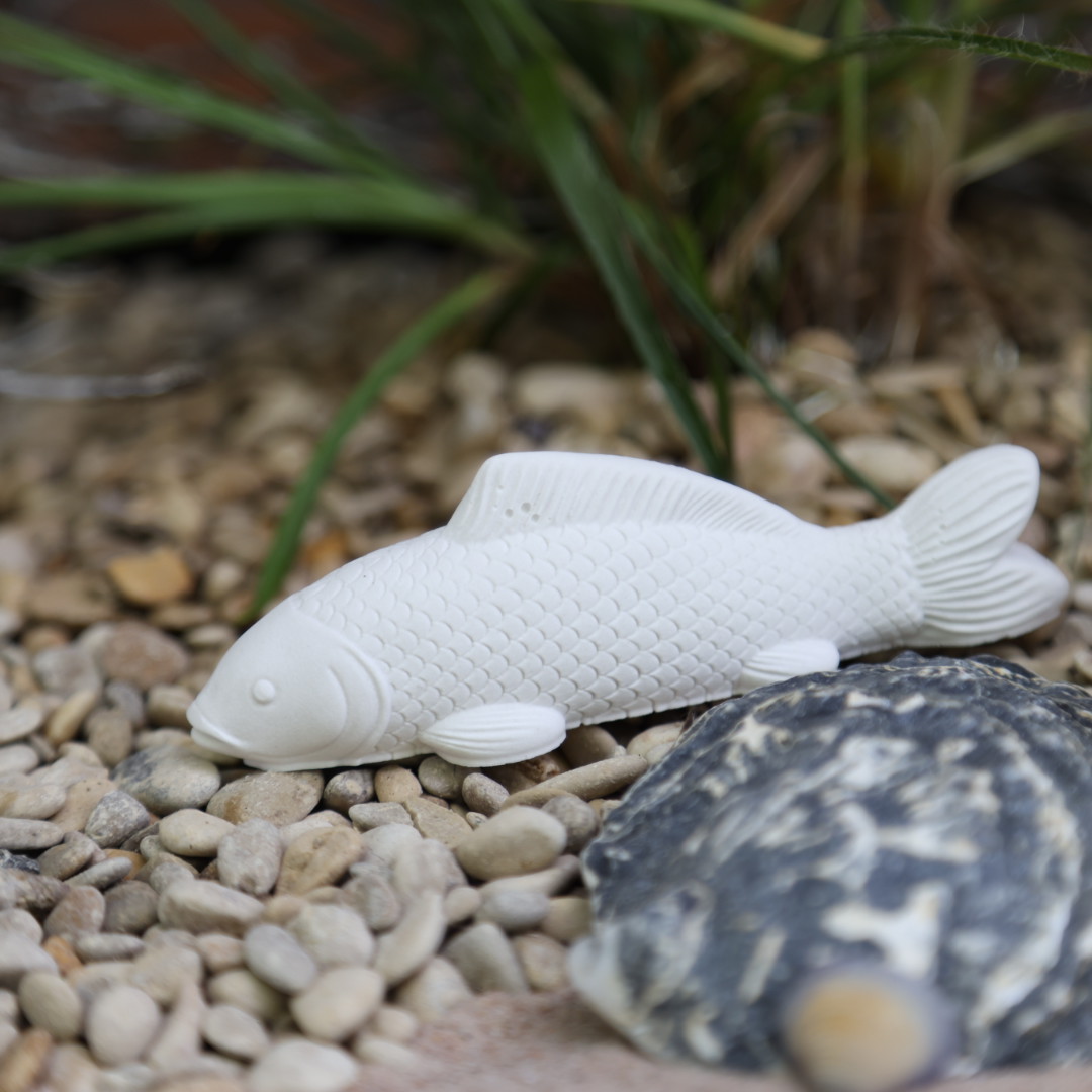 Silikon - Gießform - Fische / Seesterne / Seestern Kerzenhalter / Koralle - wähle aus 5 Optionen – Bild 8