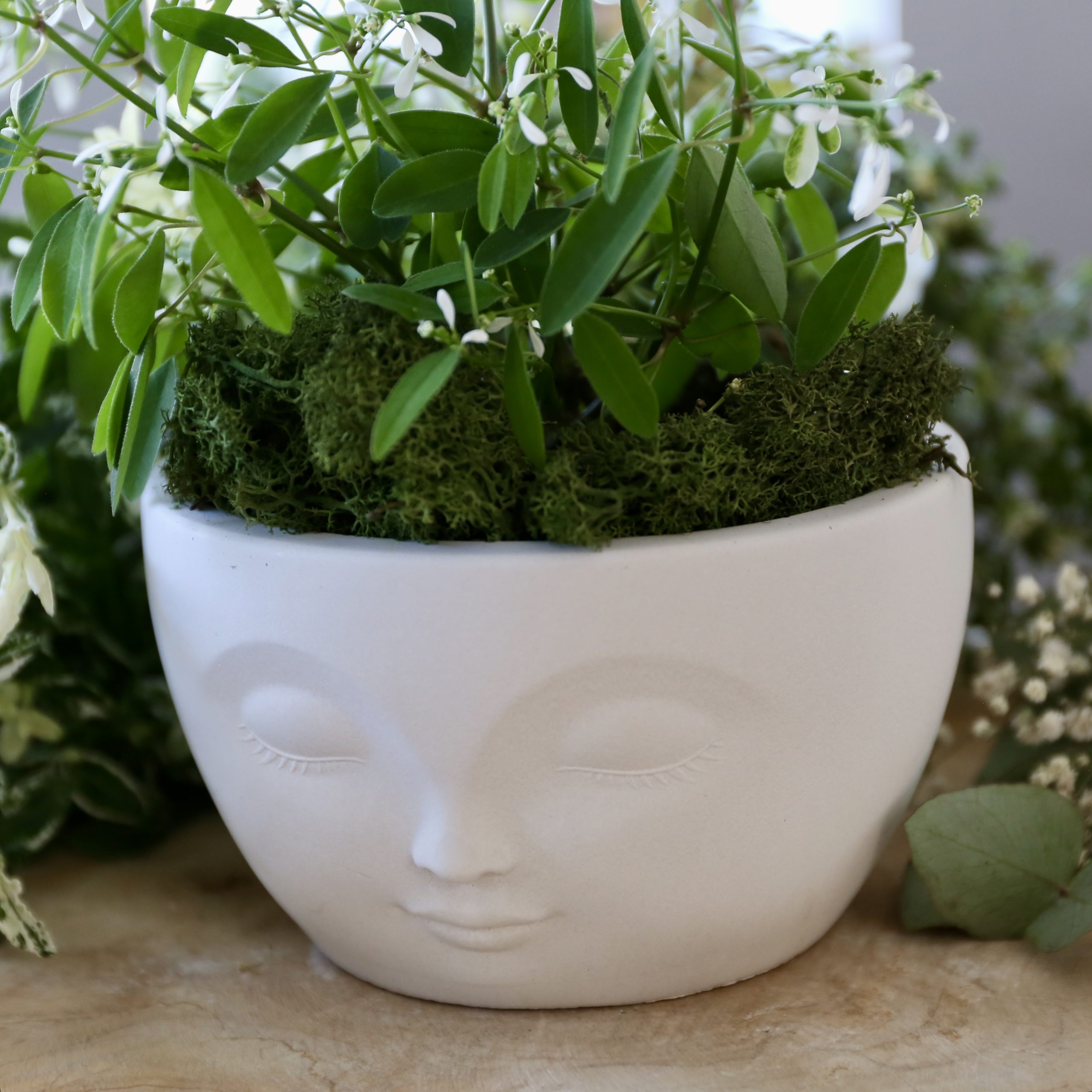 Silikon - Gießform - Beautiful Face - Dekoschale - Pflanzschale – Bild 4
