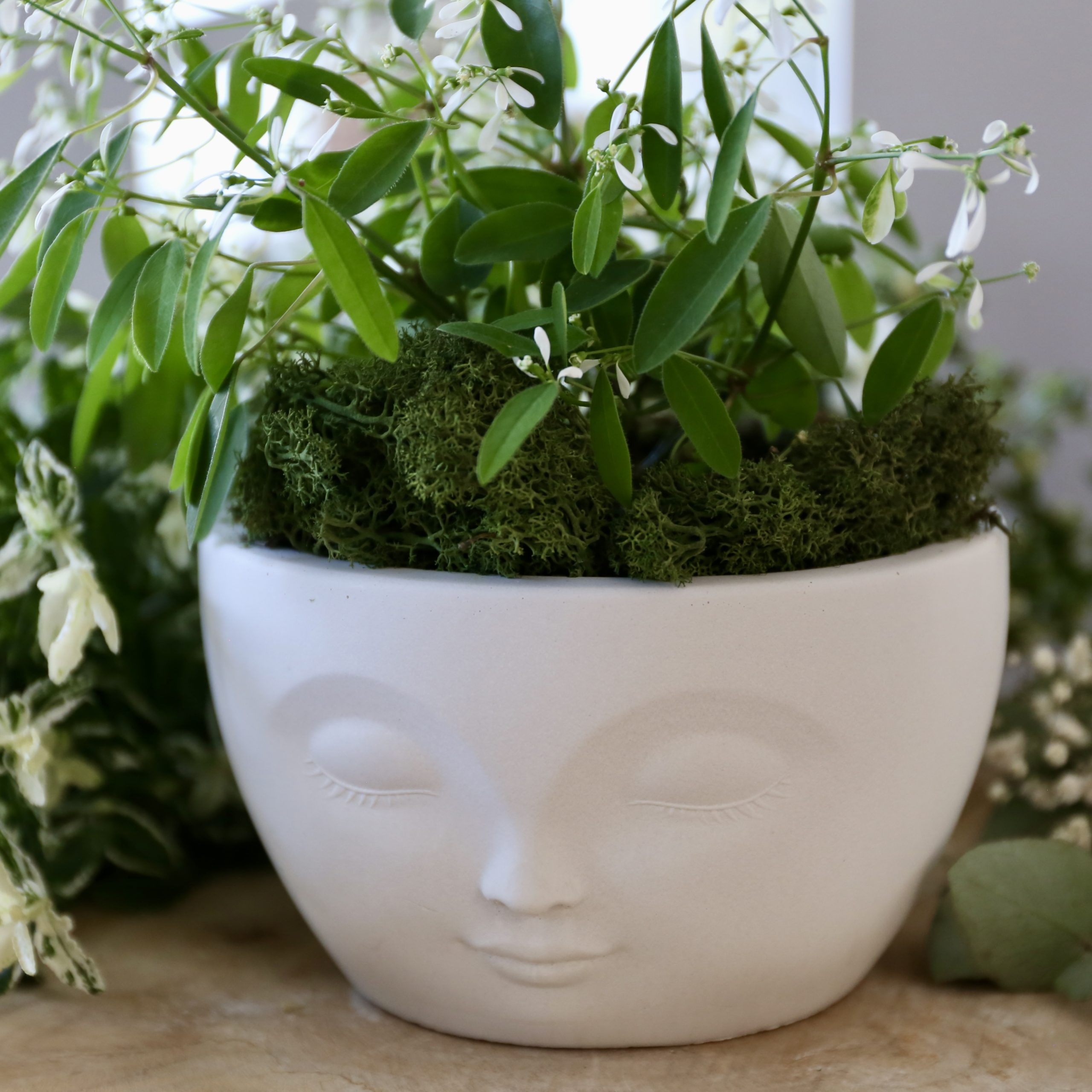 Silikon - Gießform - Beautiful Face - Dekoschale - Pflanzschale – Bild 5
