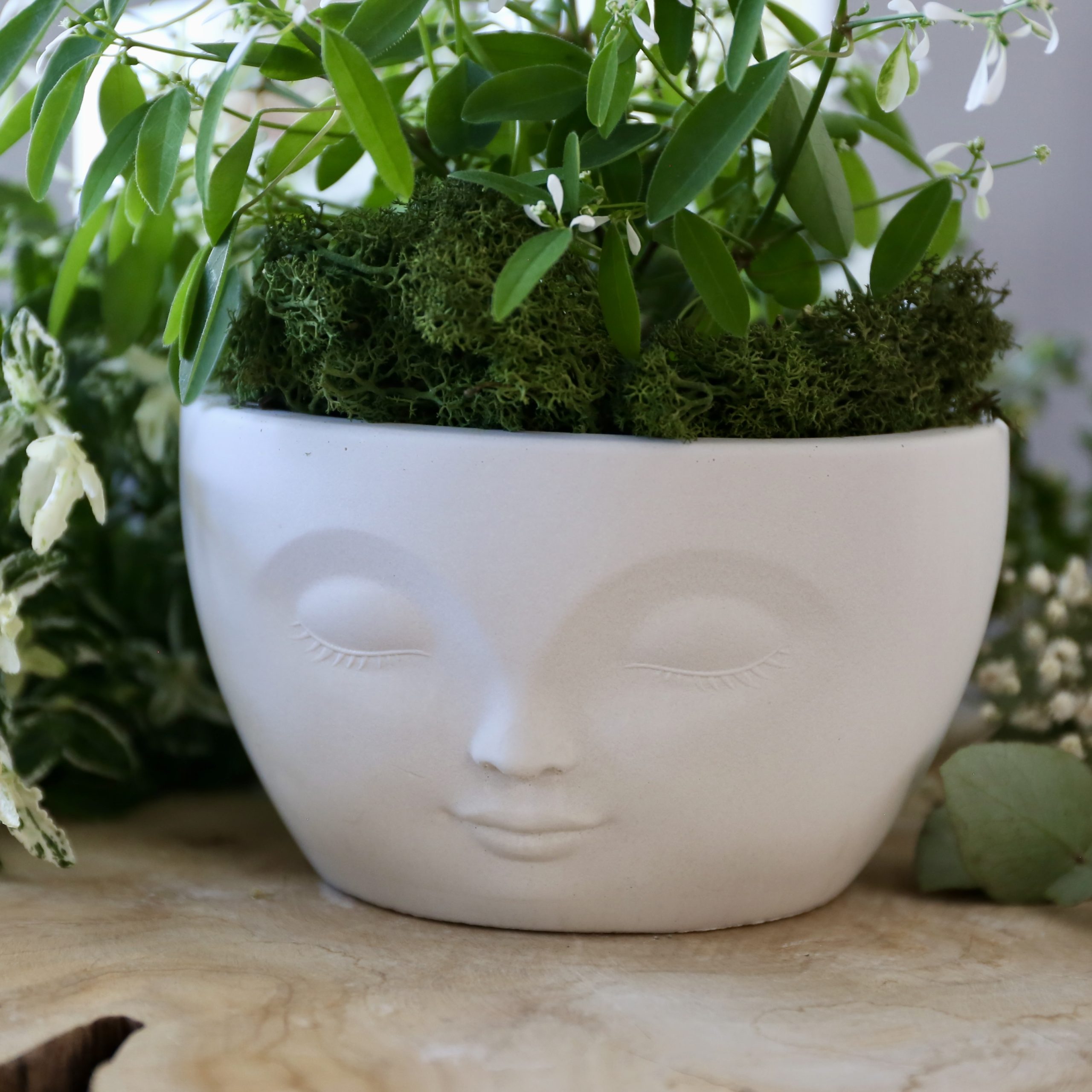 Silikon - Gießform - Beautiful Face - Dekoschale - Pflanzschale – Bild 6