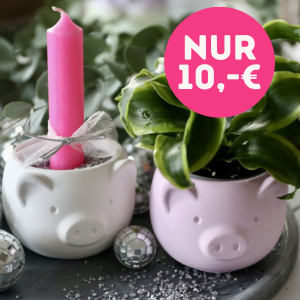 2. WAHL Silikon - Gießform - Glücksschwein - kleiner Pflanztopf - Silvesterdeko - Neujahr - Glücksbringer